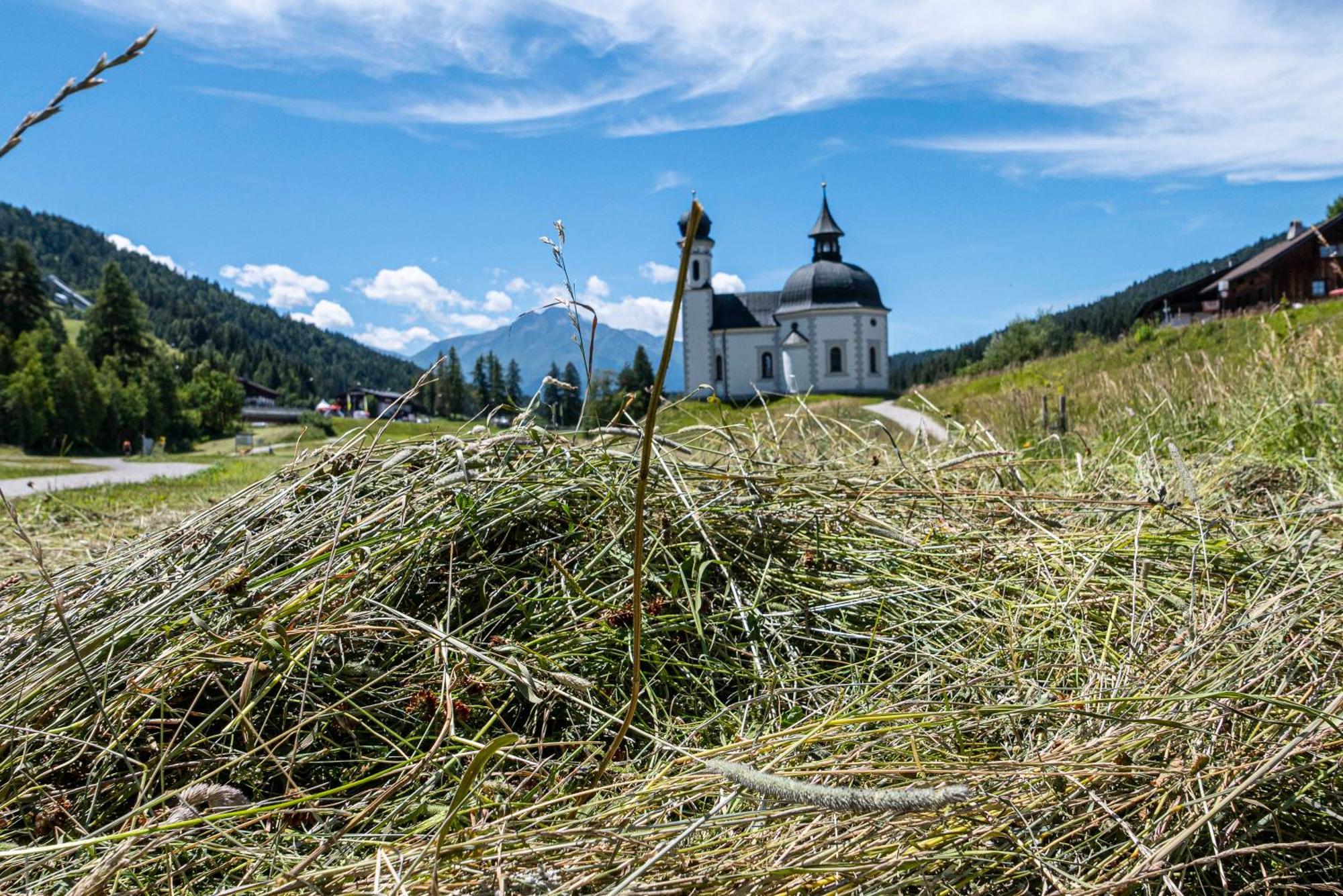 Landhaus Haid ゼーフェルト・イン・チロル エクステリア 写真